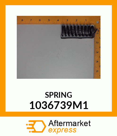 SPRING 1036739M1