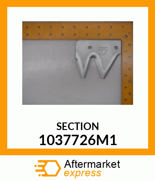 SECTION 1037726M1