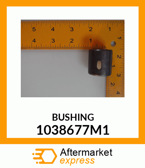 BUSHING 1038677M1