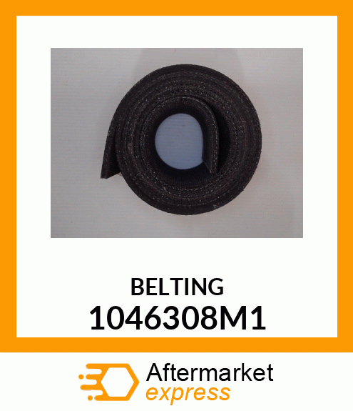 BELTING 1046308M1