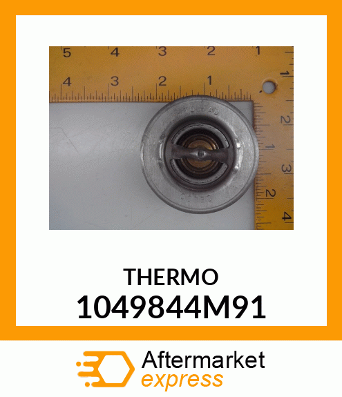 THERMO 1049844M91