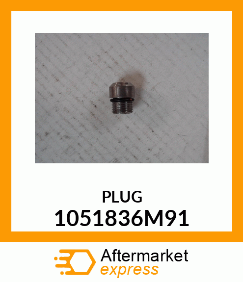 PLUG 1051836M91