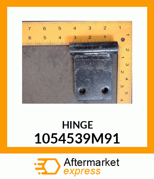 HINGE 1054539M91