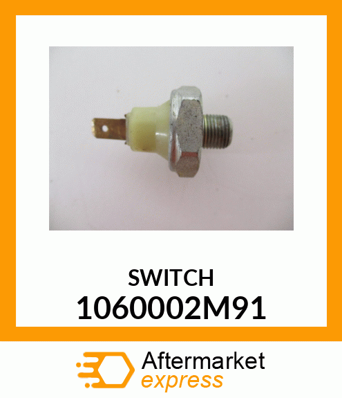 SWITCH 1060002M91