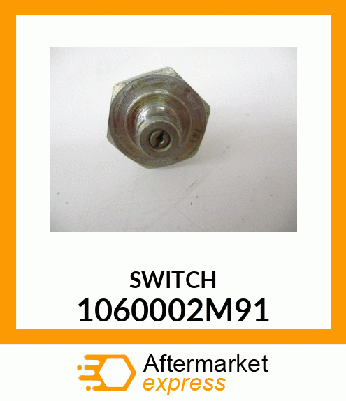 SWITCH 1060002M91