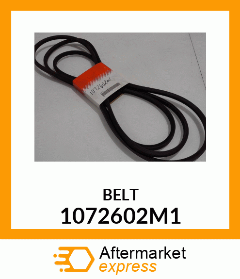 BELT 1072602M1