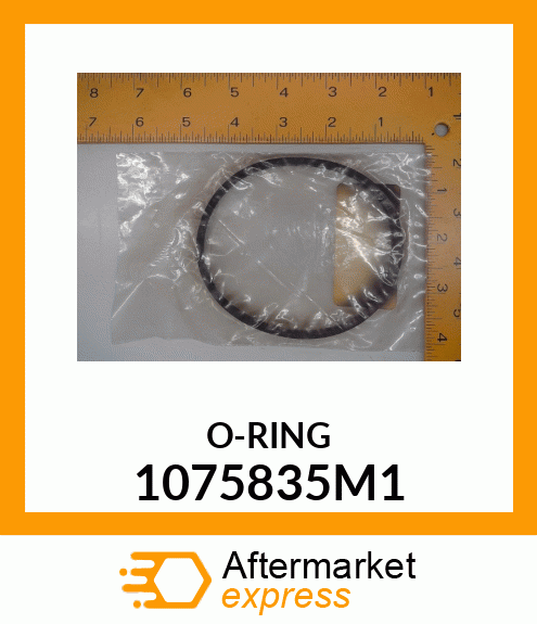 O-RING 1075835M1