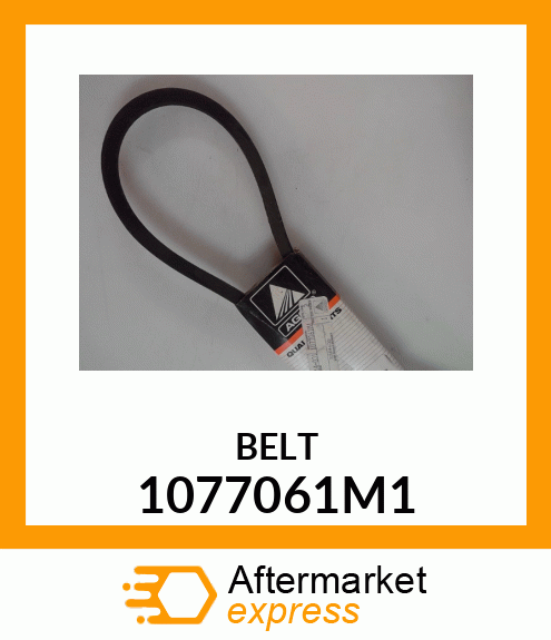 BELT 1077061M1