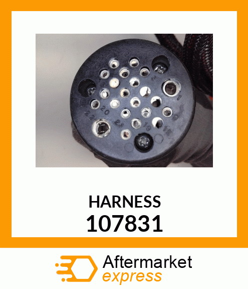 HARNESS 107831