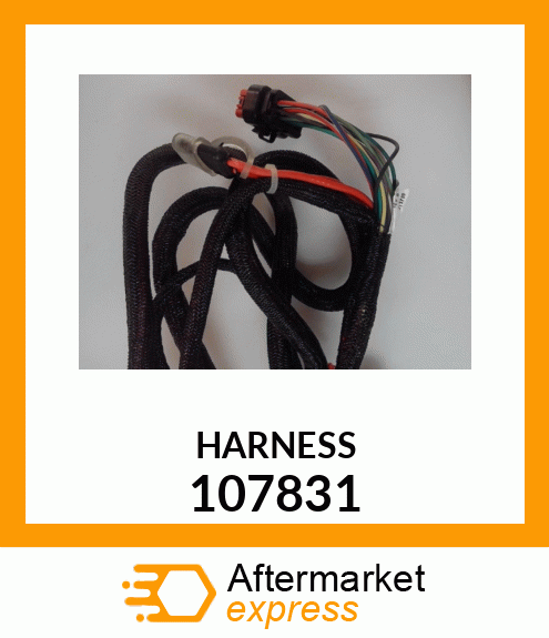 HARNESS 107831