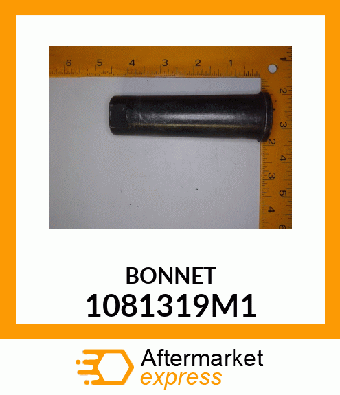 BONNET 1081319M1