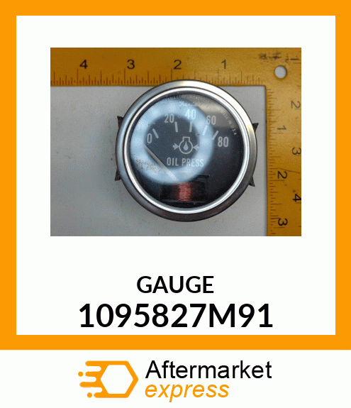 GAUGE 1095827M91