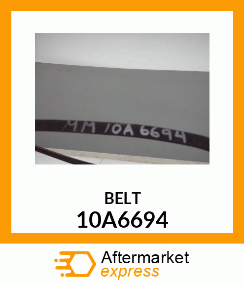 BELT 10A6694