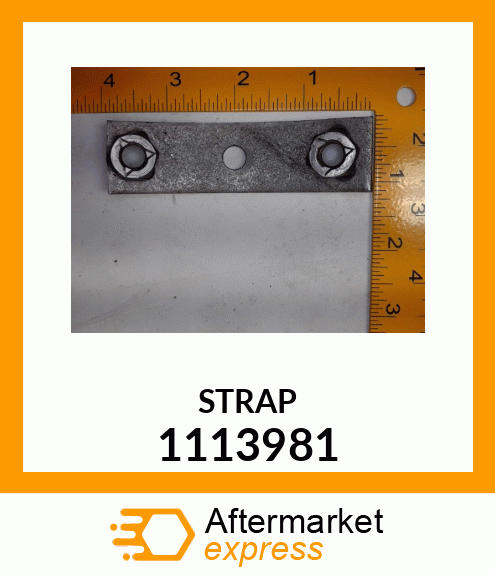 STRAP 1113981