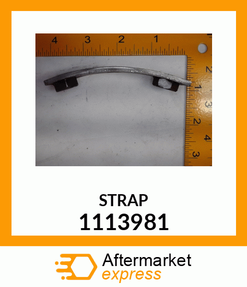 STRAP 1113981