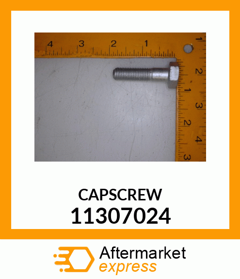 CAPSCREW 11307024