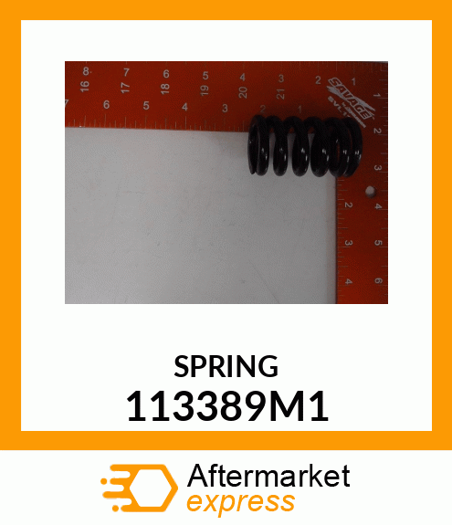 SPRING 113389M1