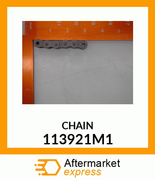 CHAIN 113921M1