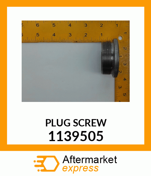 PLUG SCREW 1139505