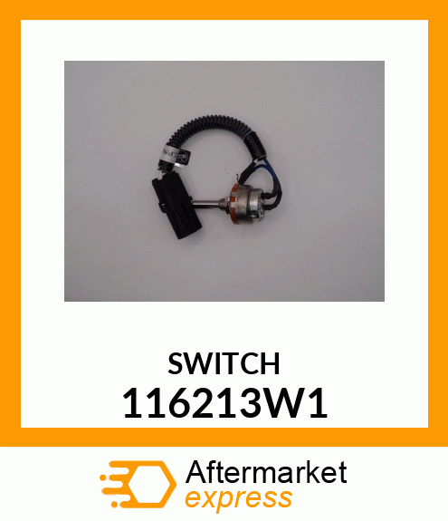 SWITCH 116213W1