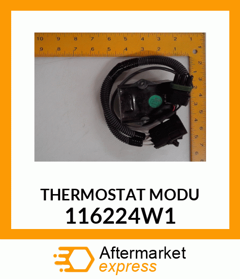 THERMOMODULE 116224W1