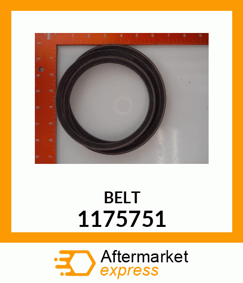 BELT 1175751