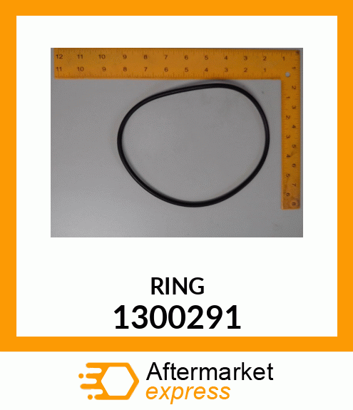 RING 1300291