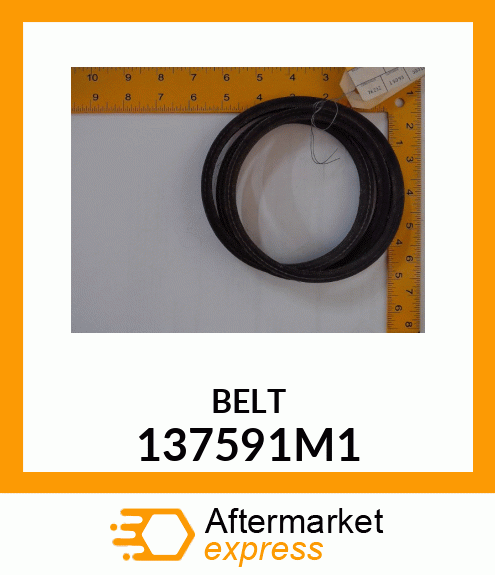 BELT 137591M1