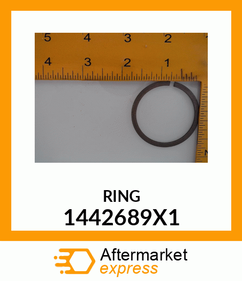 RING 1442689X1