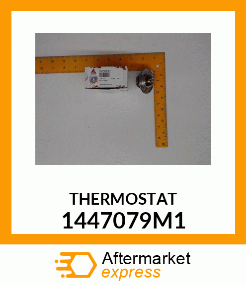 THERMOSTAT 1447079M1