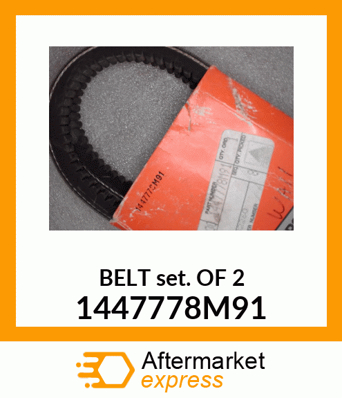 BELTSETOF2 1447778M91