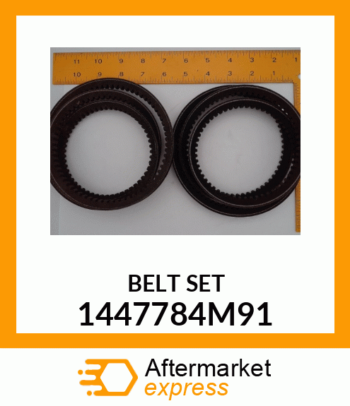 BELT 1447784M91