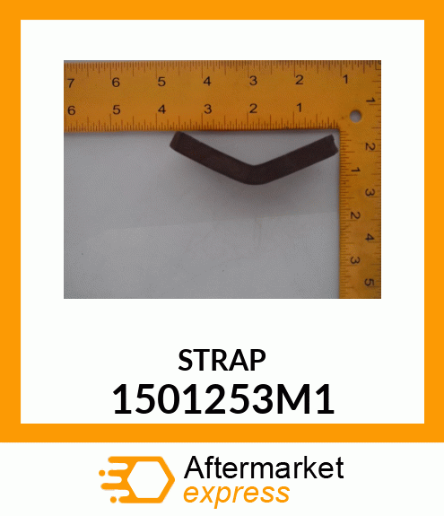 STRAP 1501253M1