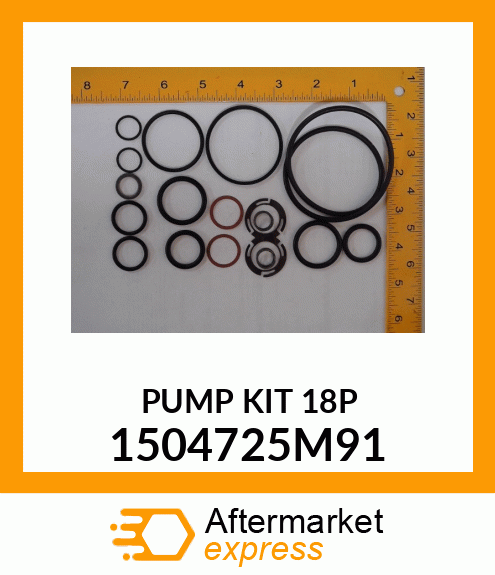 PUMPKIT18P 1504725M91