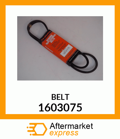 BELT 1603075