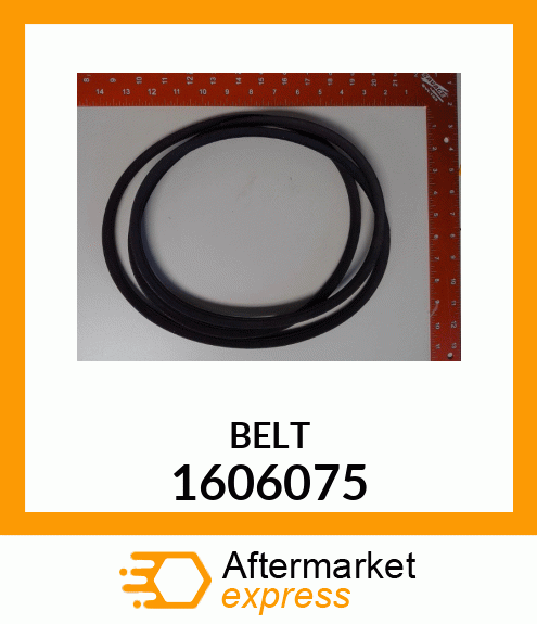 BELT 1606075