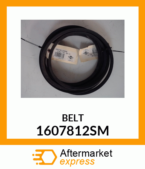 BELT 1607812SM