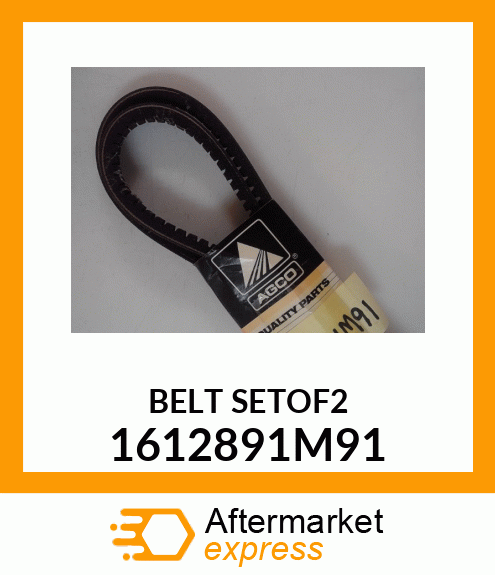 BELTSETOF2 1612891M91