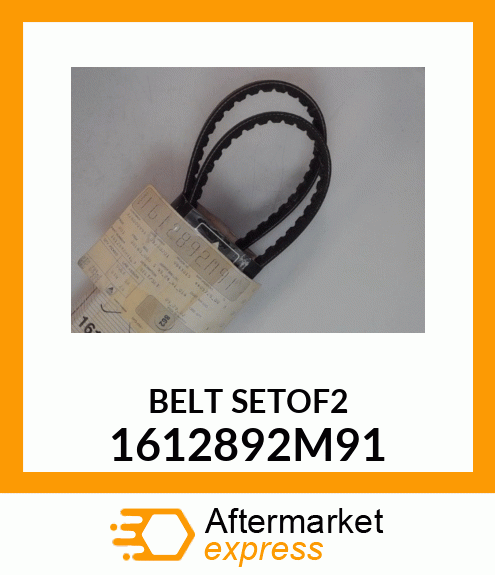 BELTSETOF2 1612892M91