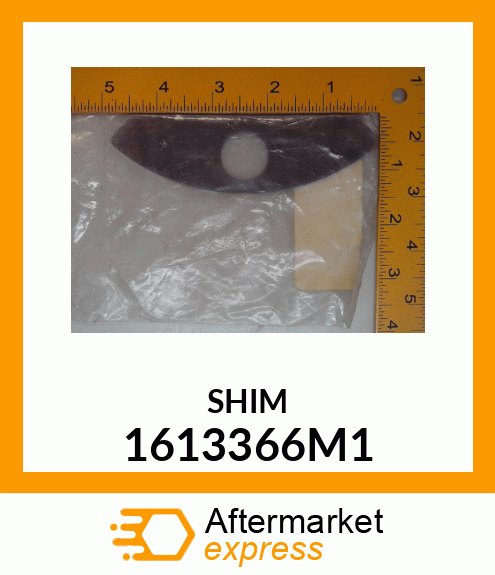 SHIM 1613366M1