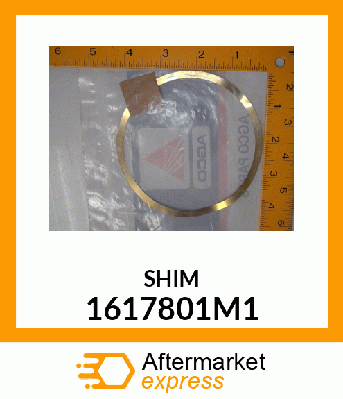 SHIM 1617801M1