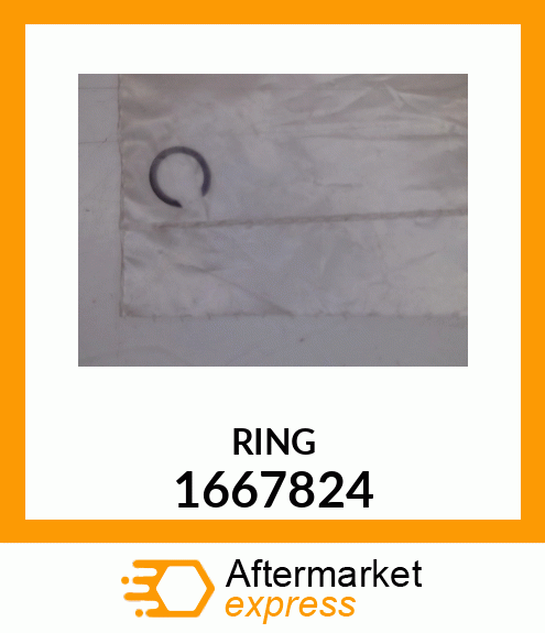 RING 1667824