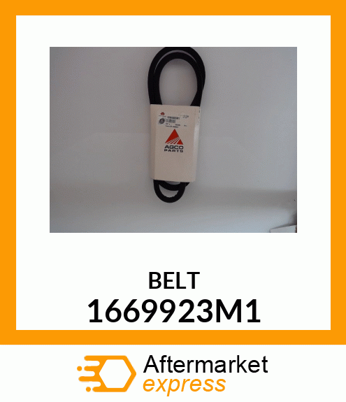 BELT 1669923M1