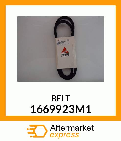 BELT 1669923M1