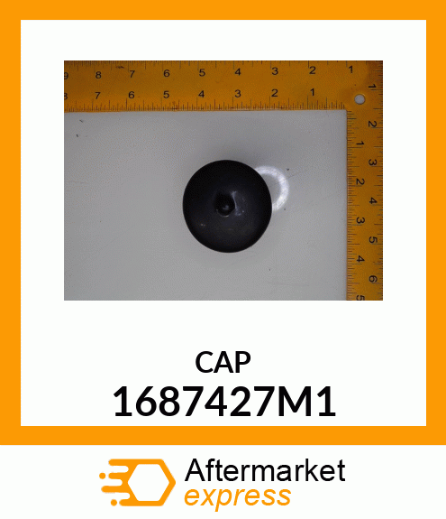 CAP 1687427M1