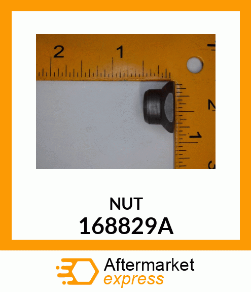 NUT 168829A