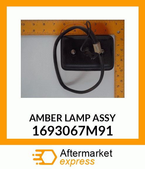 AMBERLAMPASSY 1693067M91