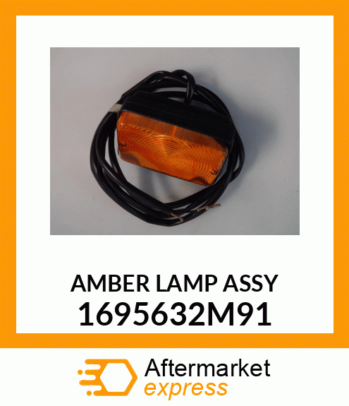 AMBERLAMPASSY 1695632M91