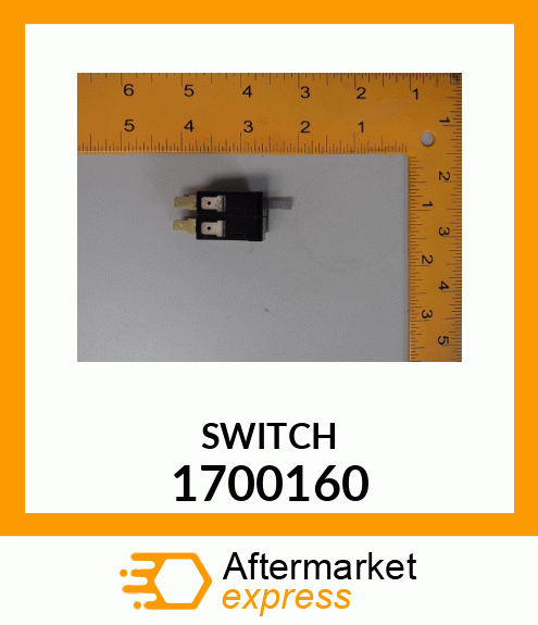 SWITCH 1700160