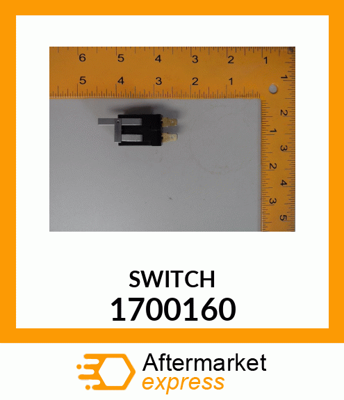 SWITCH 1700160